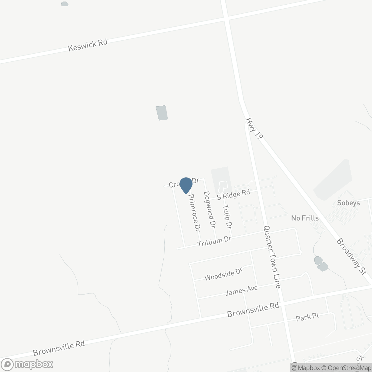 39 PRIMROSE DRIVE, Tillsonburg, Ontario N4G 5S7
